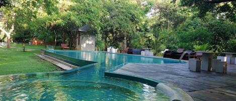 Outdoor pool, pool loungers