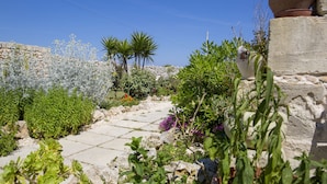 Un chemin de pierres qui traverse un jardin où l’on trouve différentes plantes et un palmier.