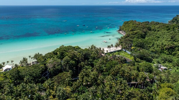 Un paisaje costero con abundante vegetación tropical, una playa y barcos en el agua.