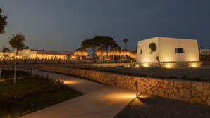 Un edificio moderno con fachada de piedra, un camino y palmeras.