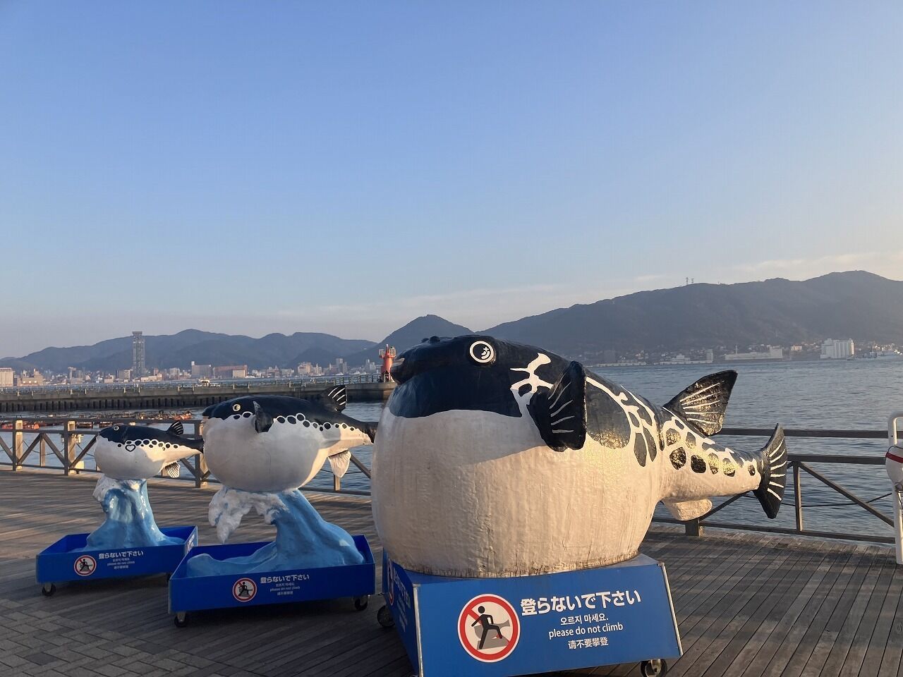 land view from property