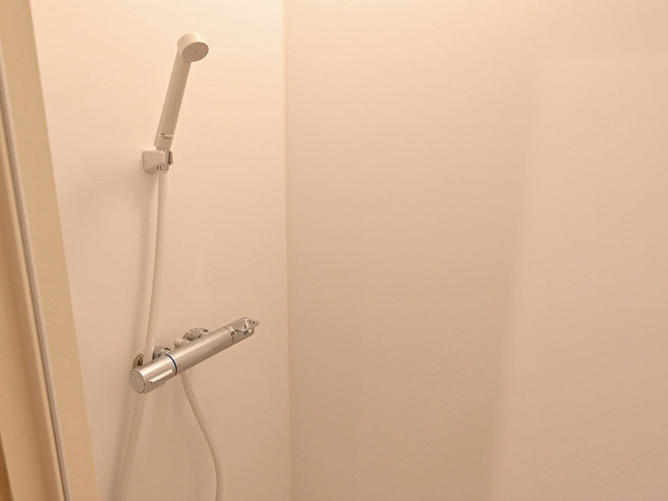 A shower with a handheld showerhead and a handheld control.
