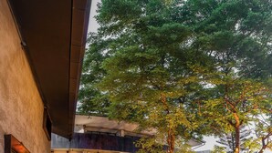 Un bâtiment moderne doté d’une façade en verre, d’un espace extérieur aménagé pour s’asseoir et d’un escalier menant à un niveau supérieur.