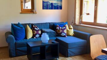 Smart-TV, Kamin