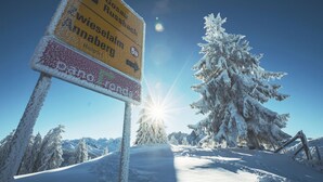 A snow-covered signpost with directional information and a snow-laden tree in the background. - Landhaus St. Georg (Sankt Martin am Tennengebirge)