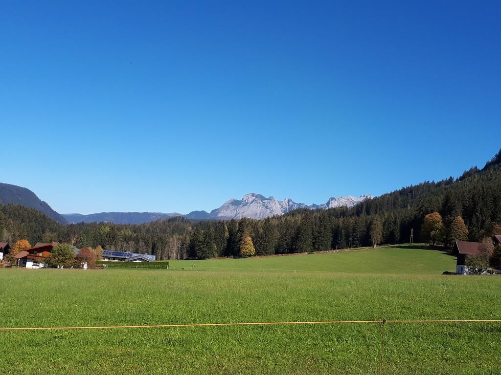 A rural landscape with a clear sky, green fields, and distant mountains.