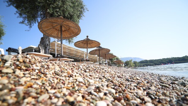 A pebbled beach with umbrellas and a tree. - Scheria Hotel (Corfu)