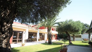 A courtyard with a palm tree, potted plants, and a building with large windows and a red roof. - Scheria Hotel (Corfu)