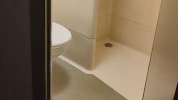Une petite cabine de douche fermée, équipée de toilettes et d’un lavabo.