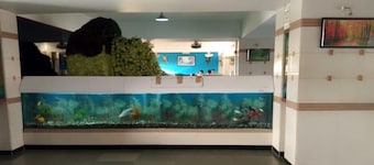 Hotel Swagat Inn And Guest House