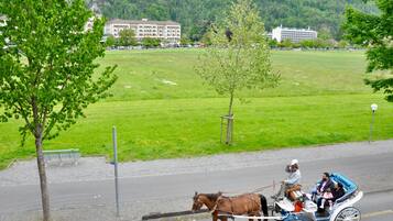A horse-drawn carriage on a paved road with a grassy field and buildings in the background.