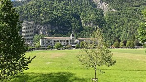 A hotel with a large building and a smaller structure in front, surrounded by a grassy field and a forested mountain. - The Loft Interlaken (Interlaken)