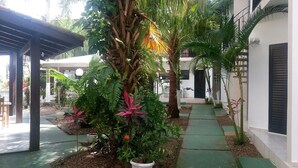 A covered outdoor area with a green pathway, potted plants, and a palm tree. - Pousada D'Ibiza (Itanhaém)