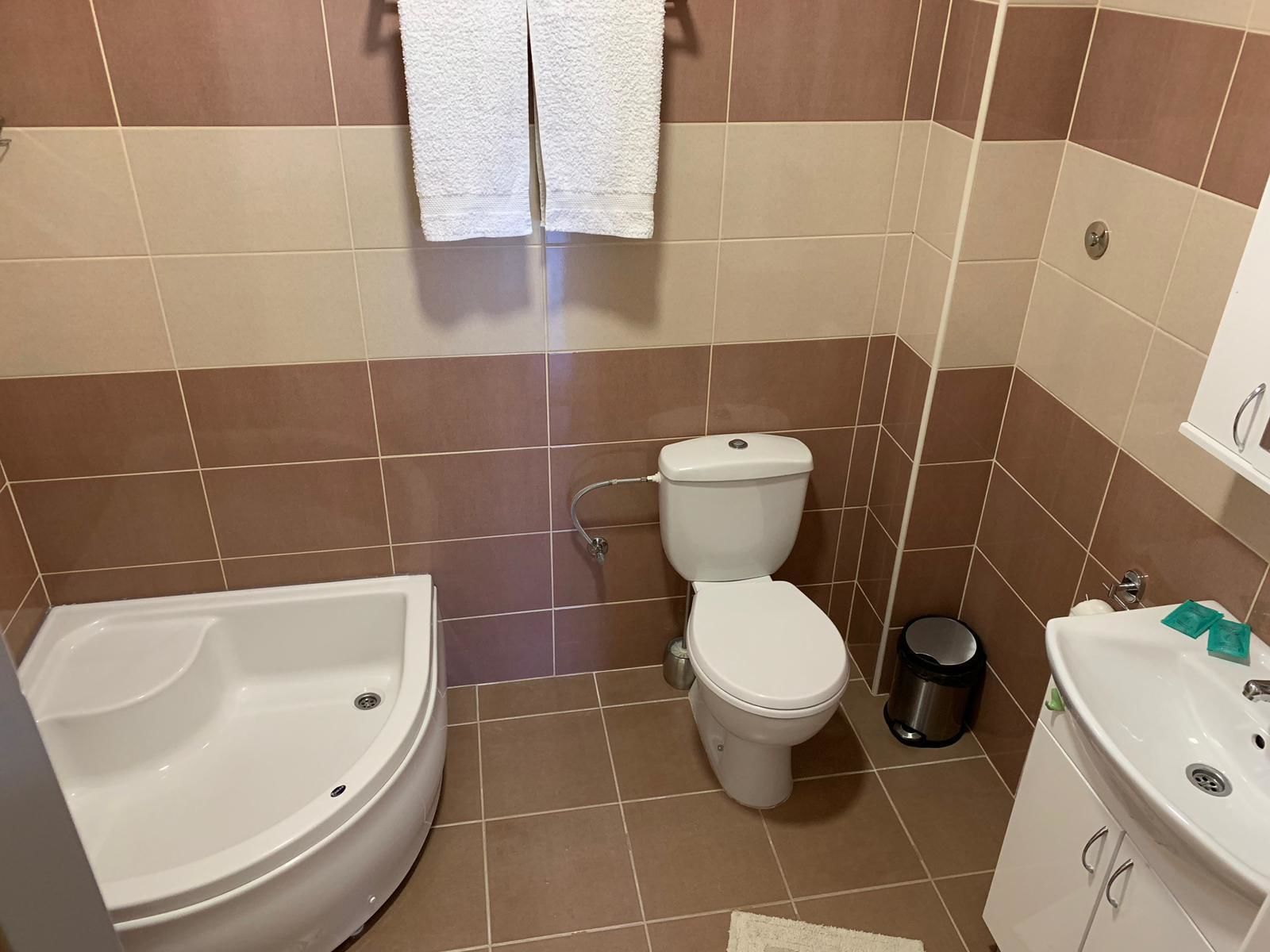 standard apartment | bathroom | shower, hair dryer, towels, toilet paper