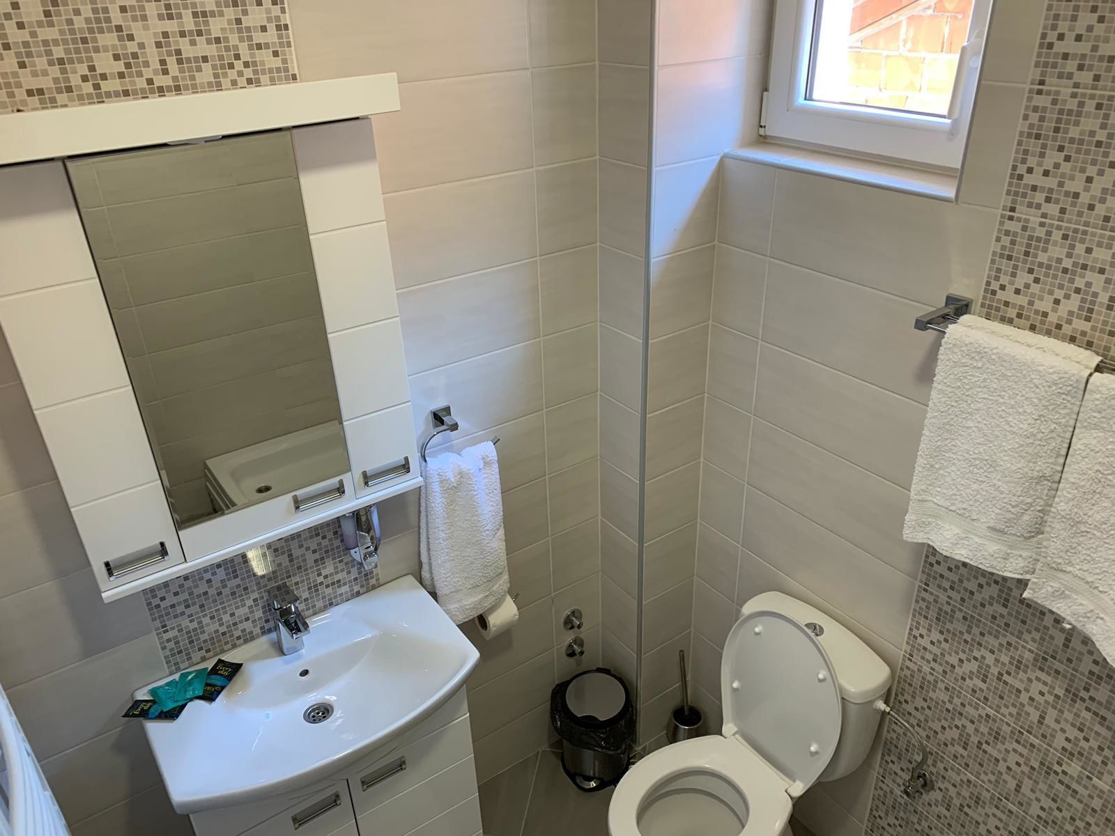 deluxe apartment | bathroom | shower, hair dryer, towels, toilet paper