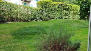المنطقة المحيطة بالمنشأة