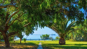 A pathway leading to a body of water, surrounded by trees and a fence. - Xi Village (Kefalonia)