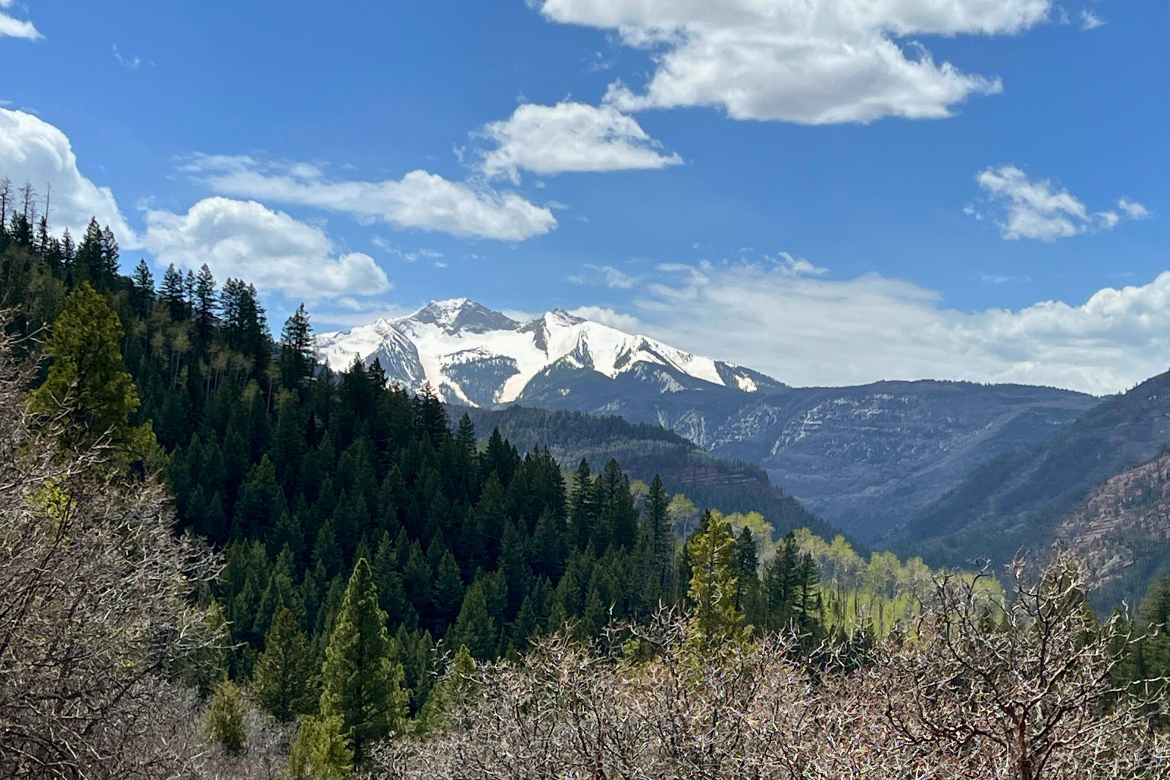 A mountainous landscape with dense forests and snow-capped peaks under a clear blue sky.