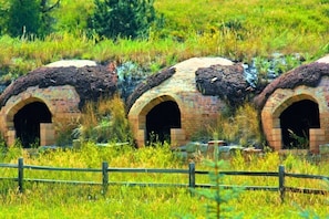 Property grounds - Mountain Retreat on the Crystal River (Redstone)