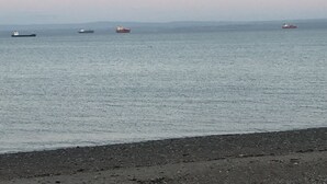 A beach with a calm sea and several ships in the distance. - Beach Apartment - Kirkcaldy (Kirkcaldy)