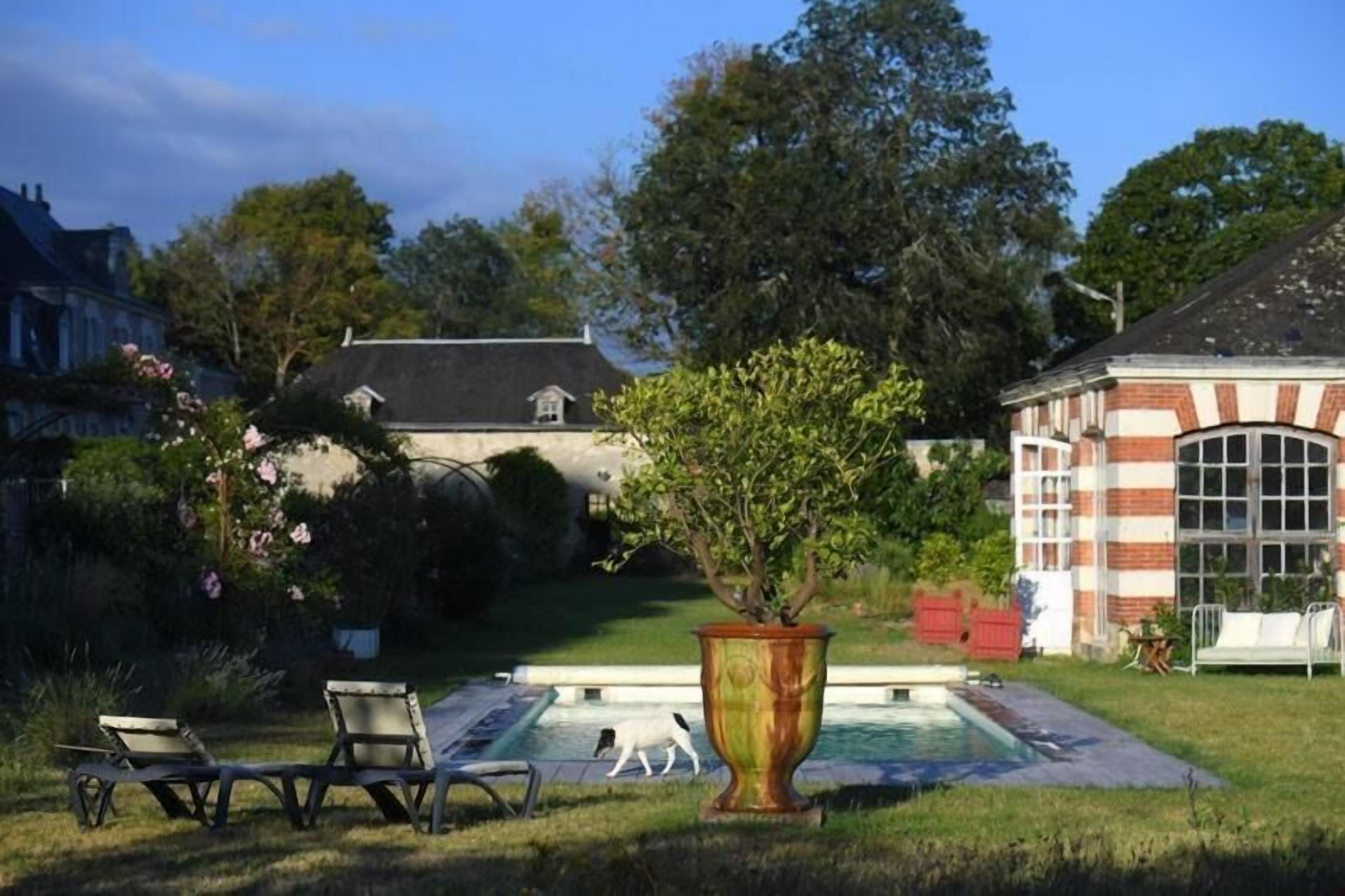A pool area with lounge chairs, a large potted plant, and a building with a brick facade.
