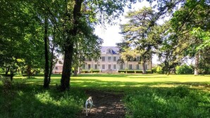 A large, historic building with symmetrical architecture, surrounded by lush green trees and a well-maintained lawn. - Colivault (Cande-sur-Beuvron)