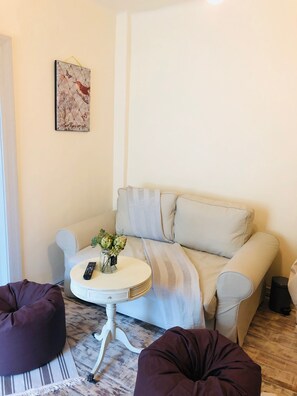 TV, fireplace, books