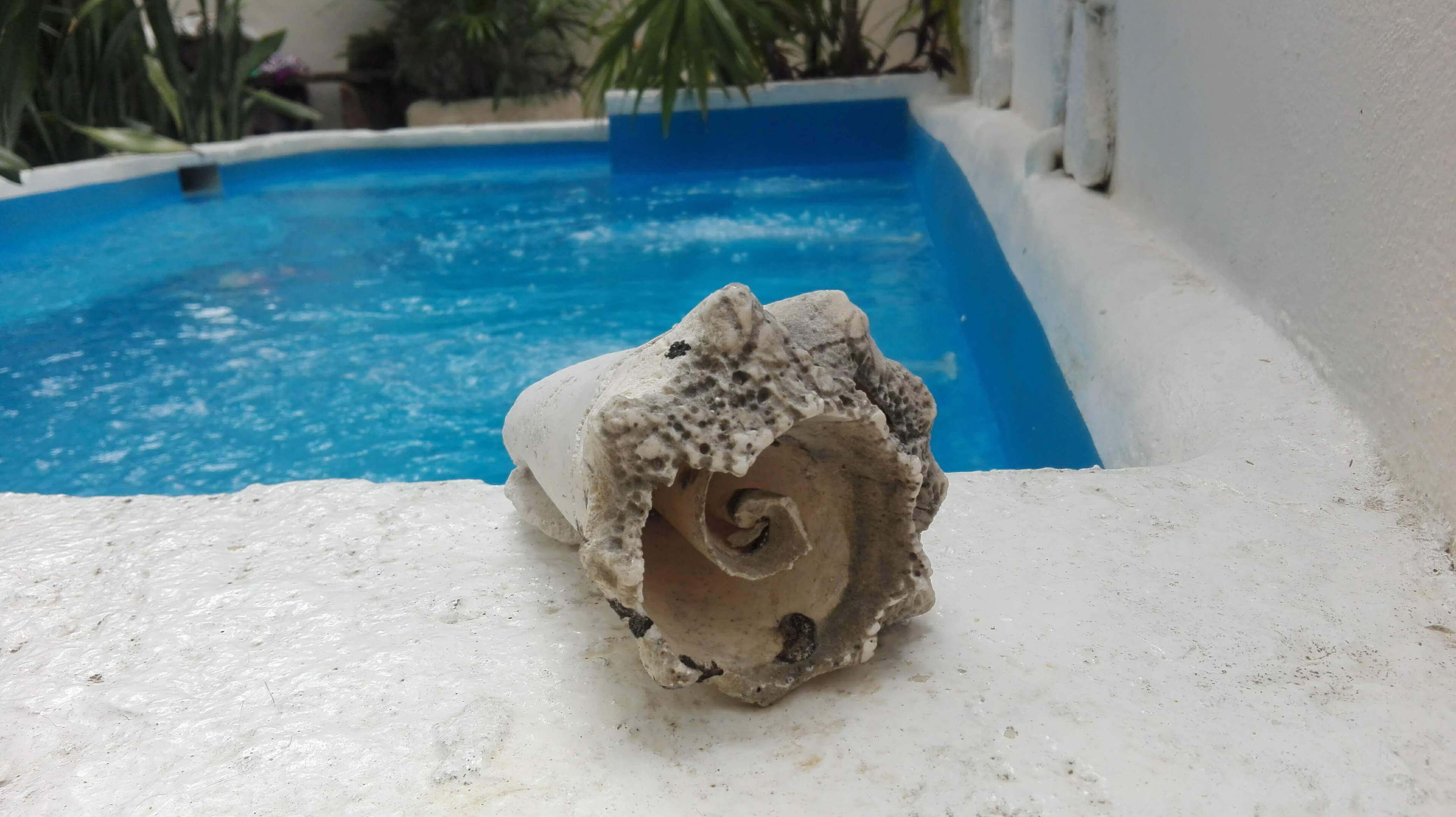 Photo - Kika Studios