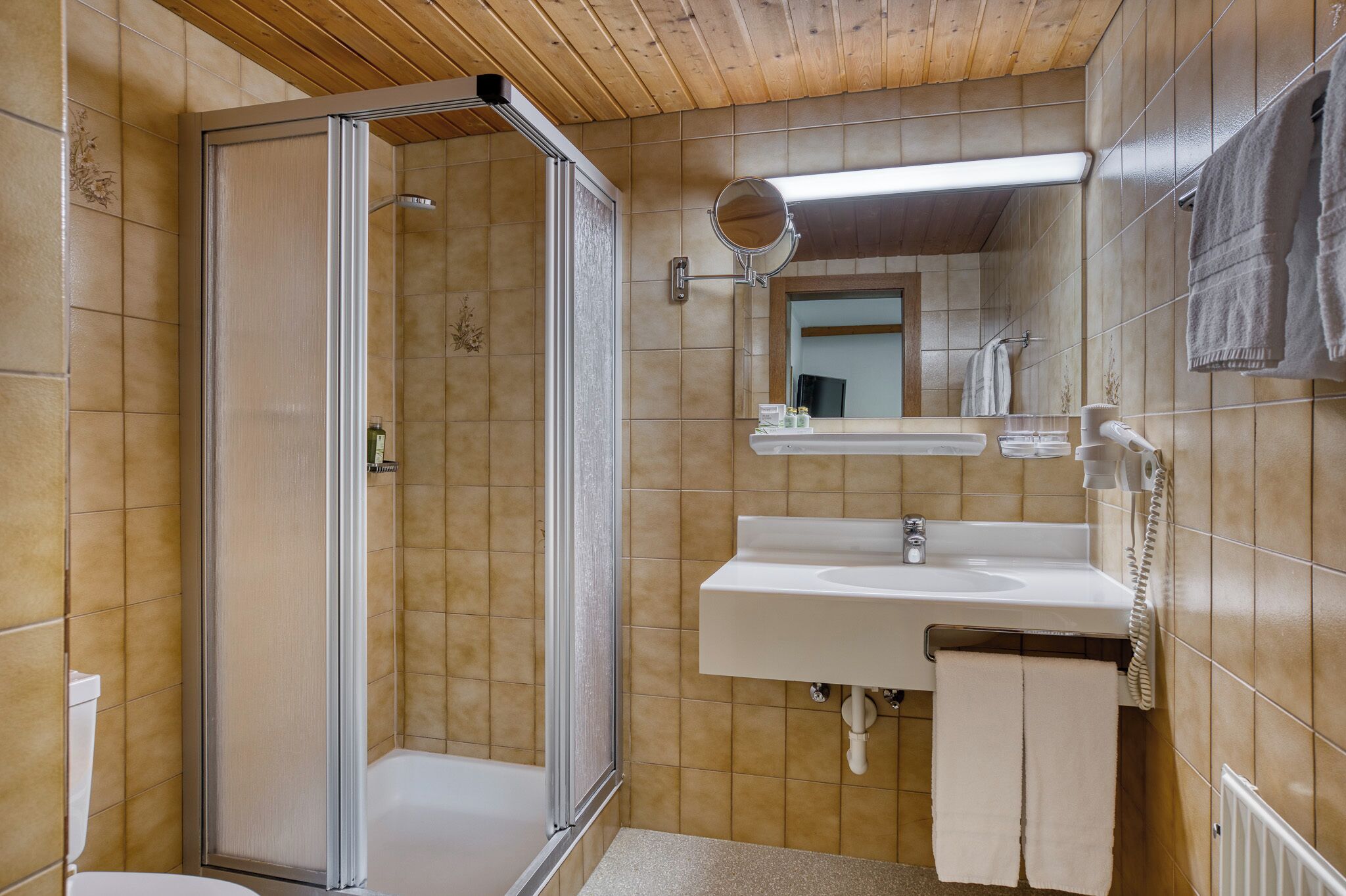 Une salle de bain équipée d’une douche, de toilettes, d’un lavabo et d’un miroir.