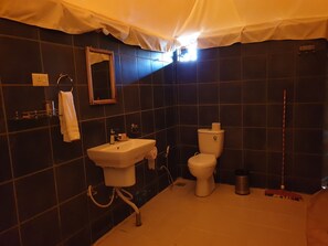 Separate bathtub and shower, towels