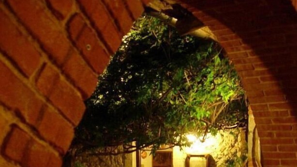 An outdoor dining area with brick arches, tables, chairs, and potted plants. - La Caveja (Pietravairano)