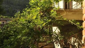 A building with a balcony, surrounded by lush greenery and a mountain in the background. - La Caveja (Pietravairano)