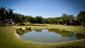 A well-maintained garden with a pond, lush greenery, and a building in the background.