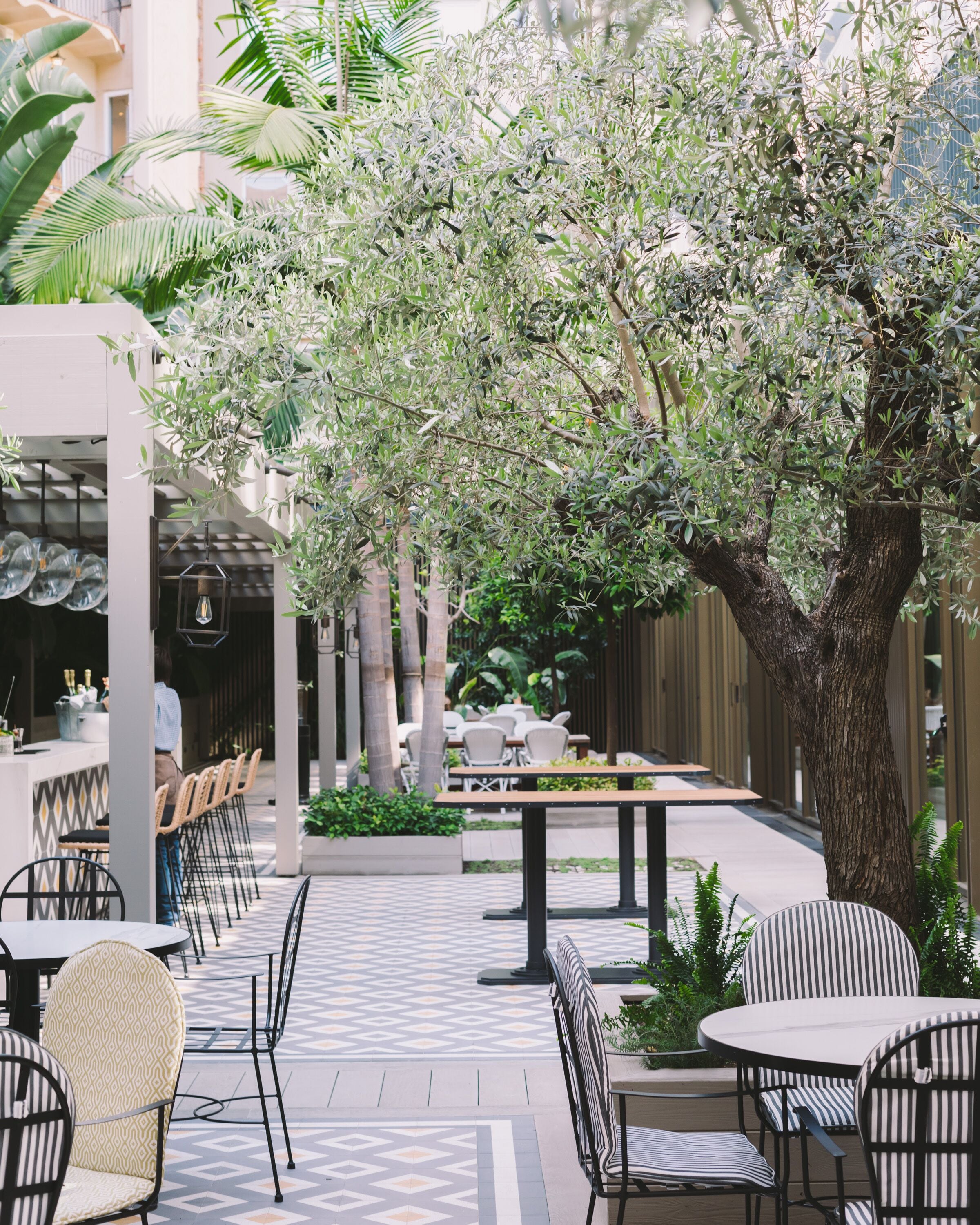 An outdoor seating area with tables and chairs, surrounded by greenery and a large tree.