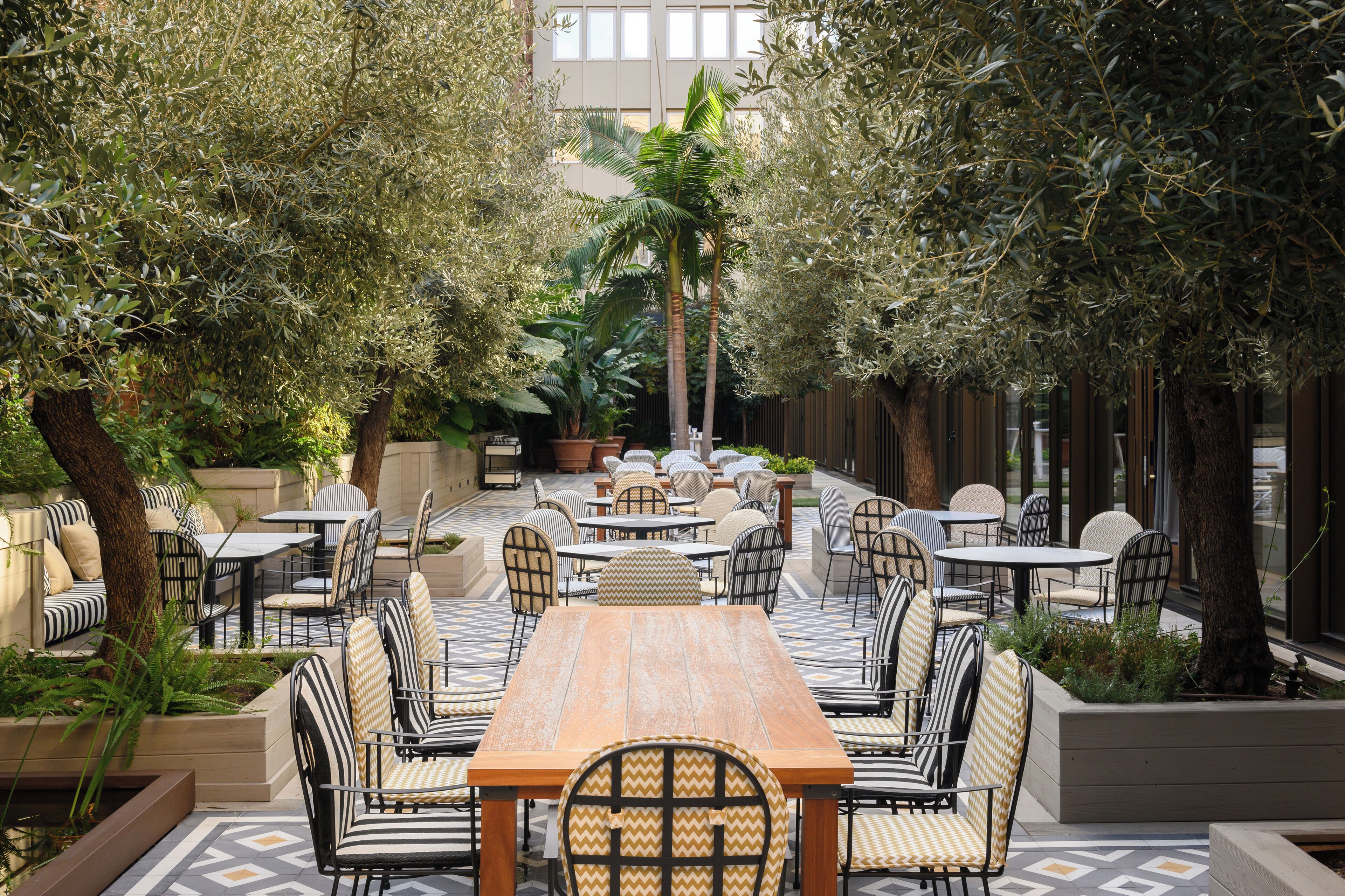 An outdoor patio with a wooden table and chairs, surrounded by olive trees and potted plants.