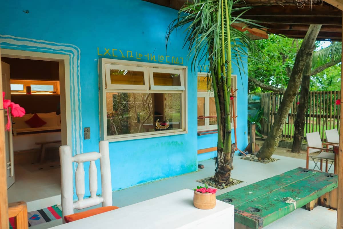 A blue building with a window and a door, a bench, and a potted plant.