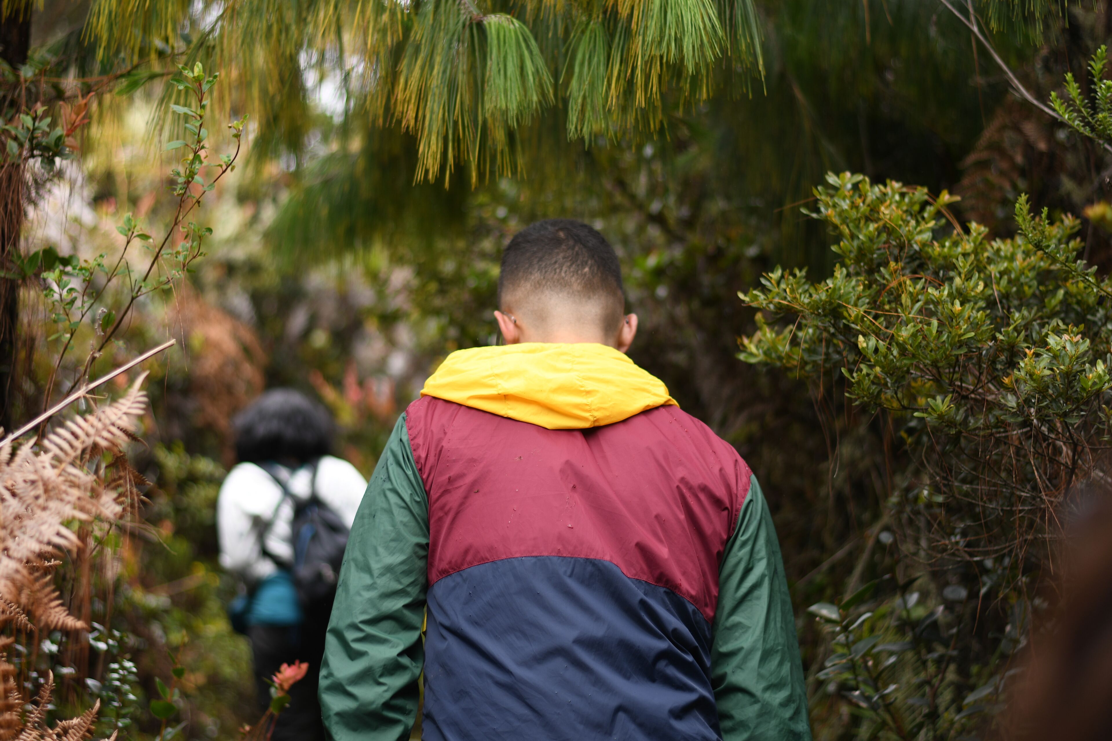 Una persona caminando por un sendero en el bosque.