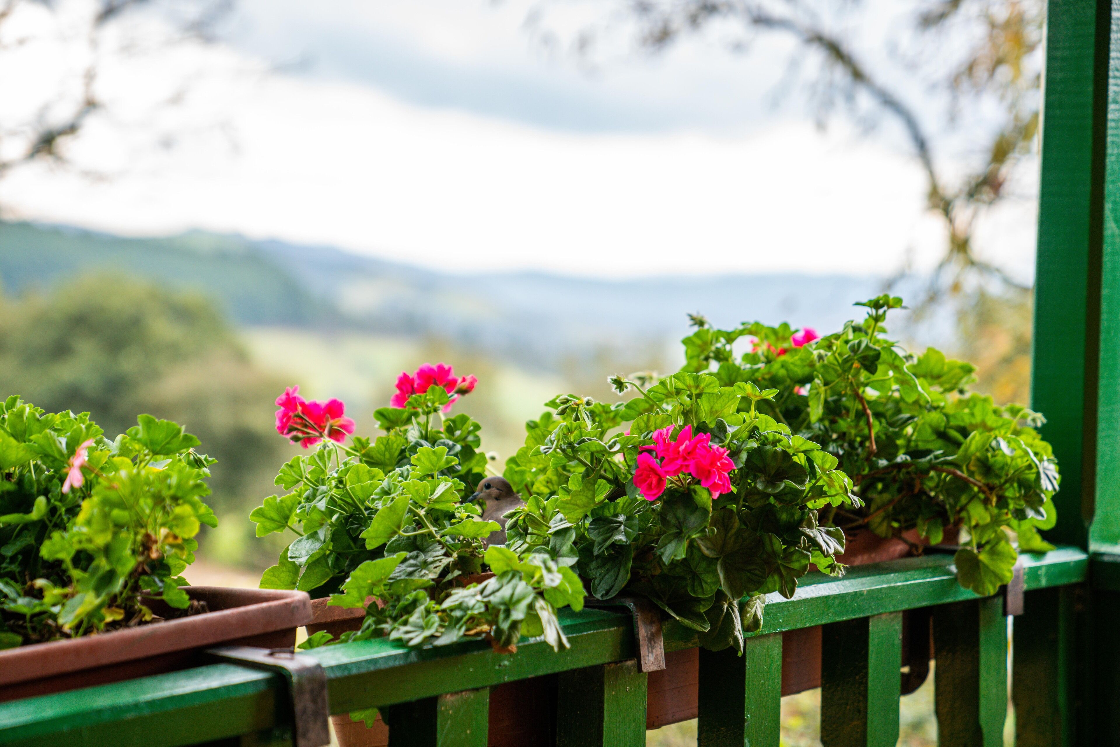 Photo - Estancia San Antonio