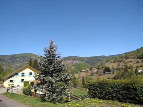 Les Sapins