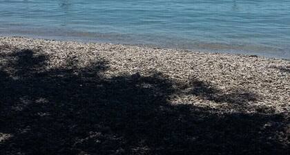 ruhe am ufer der areuse