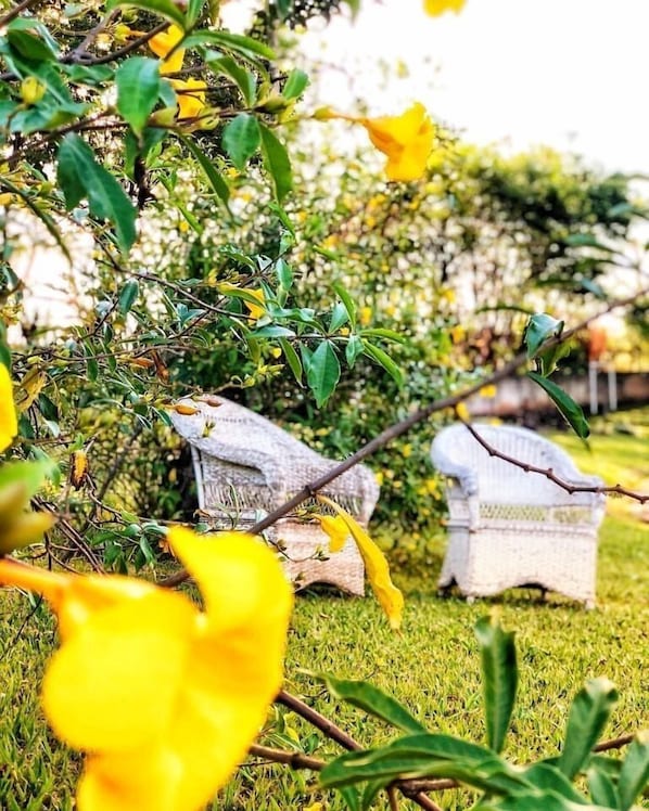 A garden with yellow flowers and white wicker furniture.