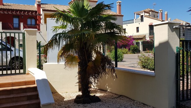 A residential area with a gated entrance, a palm tree, and a staircase leading to a door.