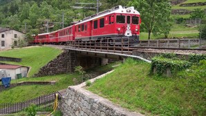 Uklassifisert bilde, 3 av 17, knapp