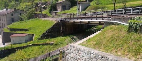 Jardín