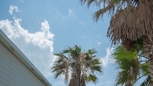 Ngoại thất