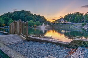 Escape to a serene lakeside haven with a tranquil pond, fountain, and lush greenery.