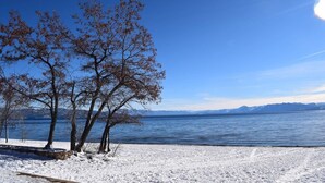 Una playa nevada con árboles sin hojas y un cielo azul despejado.