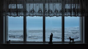 A window with a lace curtain and two figurines on the sill. - The Holiday House ÁSAR - Amazing View (Kirkjubæjarklaustur)