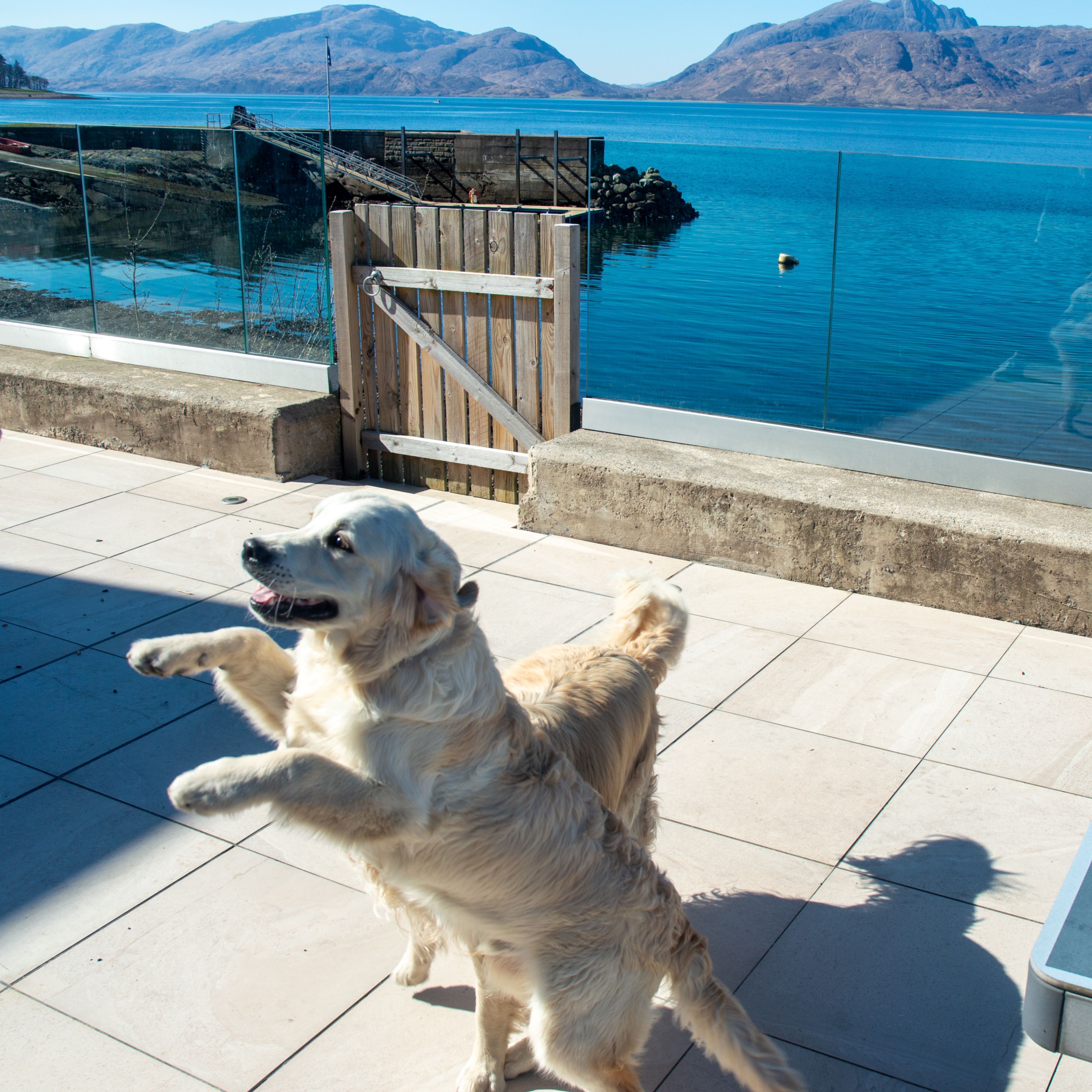 Terrein van de accommodatie