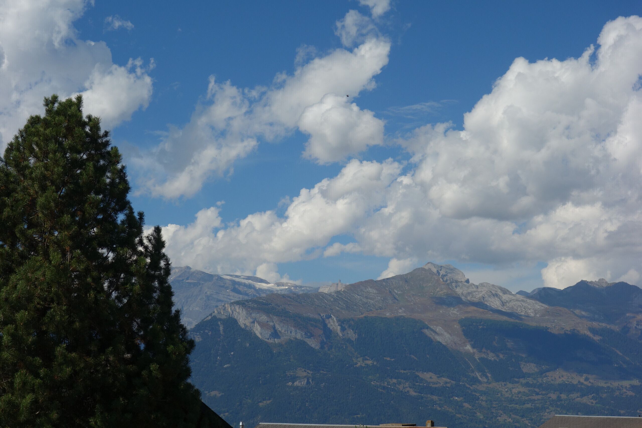 Un paysage de montagne avec un ciel dégagé et un grand pin qui se détache au premier plan.